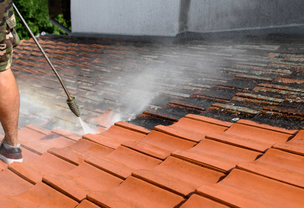 Best Power Washing Near Me  in Black Hammock, FL