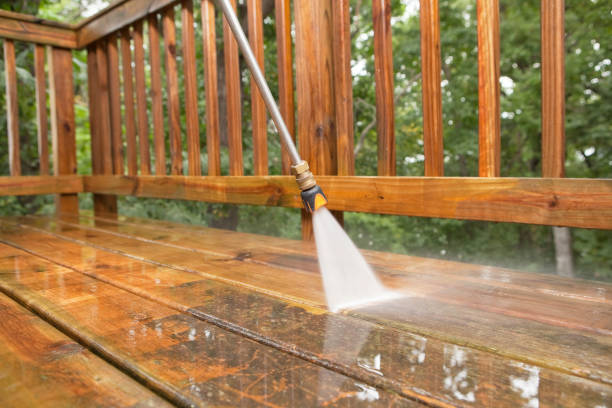 Best Roof Pressure Washing  in Black Hammock, FL